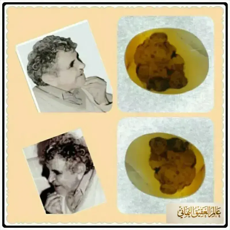 شخصيات مشهورة 