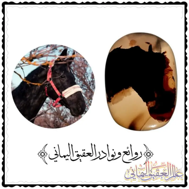 الخيل 