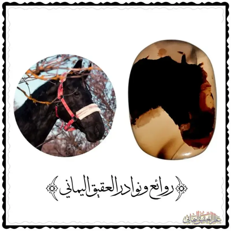 حجر مميز من العقيق اليماني المصور النادر يمثل الخيل العربي