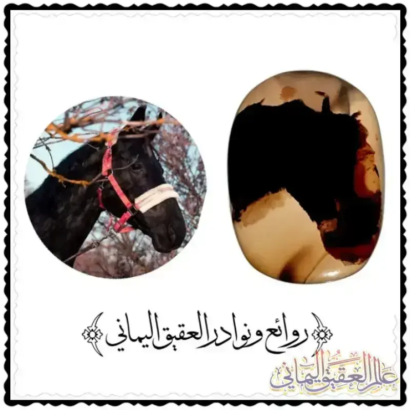 الخيل